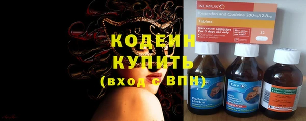 стаф Аркадак