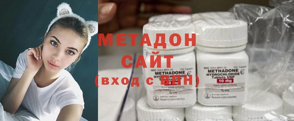 стаф Аркадак
