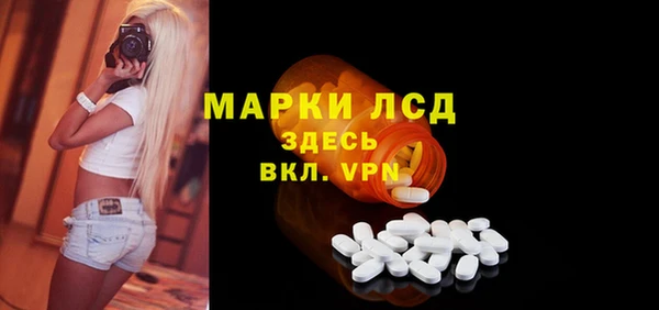 стаф Аркадак