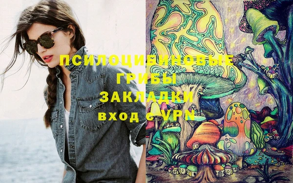 стаф Аркадак